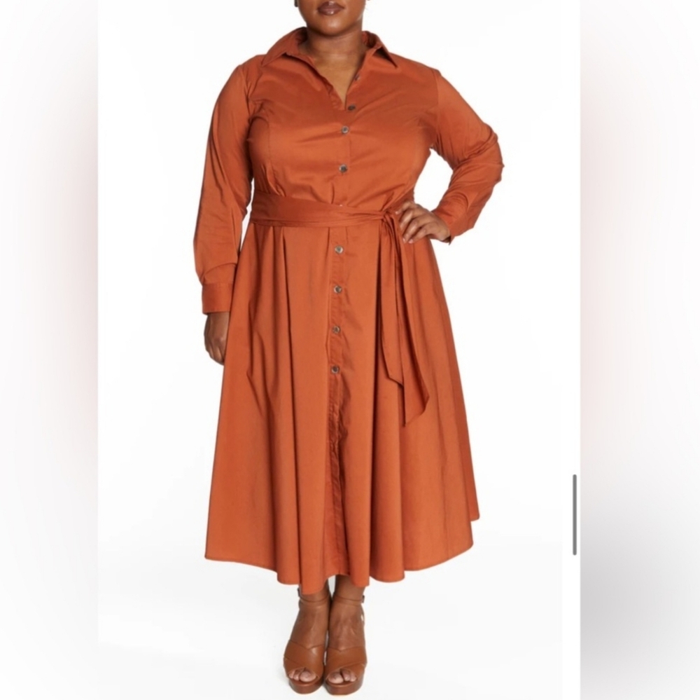 Pari Passu Poplin Shirtdress Terracotta Size C3/16 Button Down Office Siren